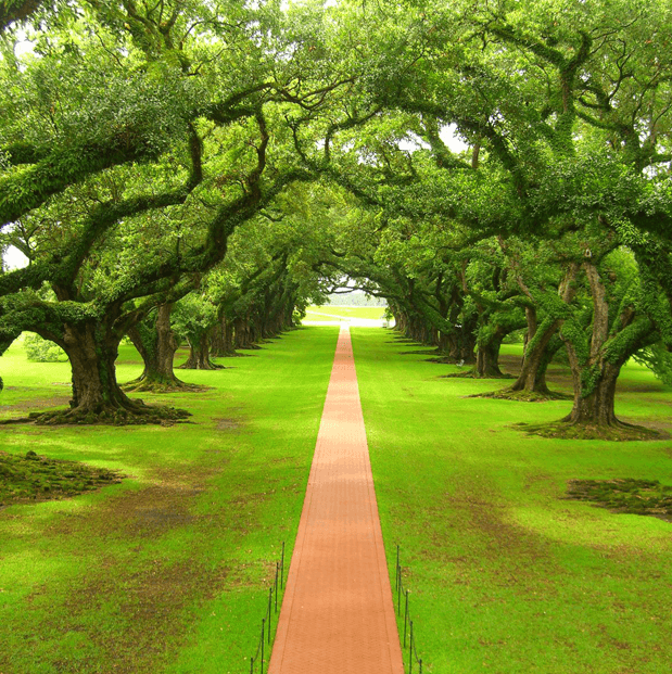 pathway to health, healing and high energy